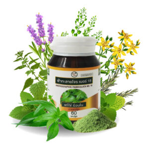 Andrographis paniculata